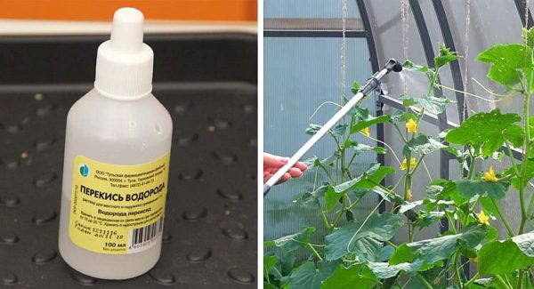peroxyde d'hydrogène