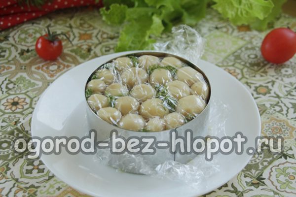 μανιτάρια
