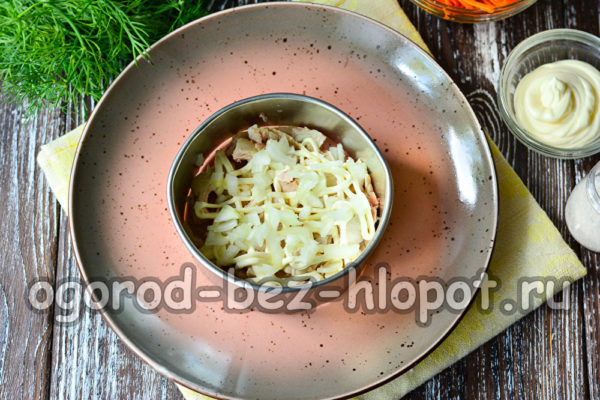 cipolla