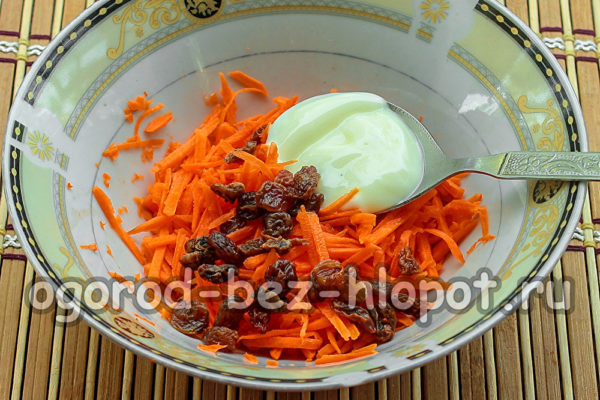 zanahorias, pasas y mayonesa
