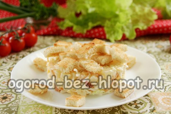 mettere i crostini sull'insalata