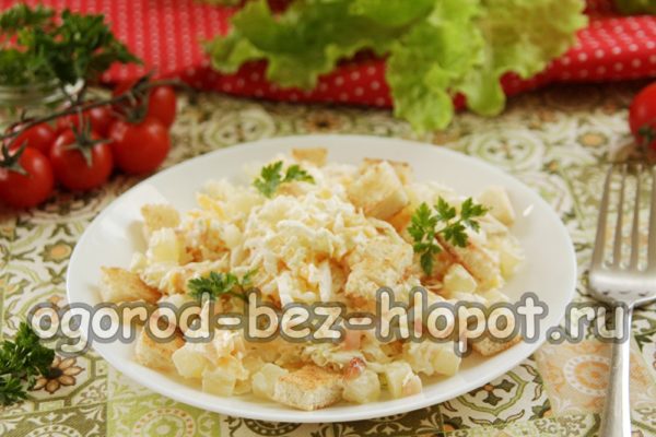 servire l'insalata su un piatto