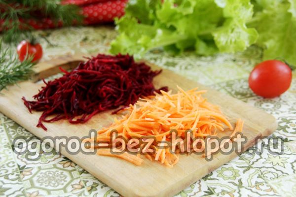 Karotten und Rote Beete