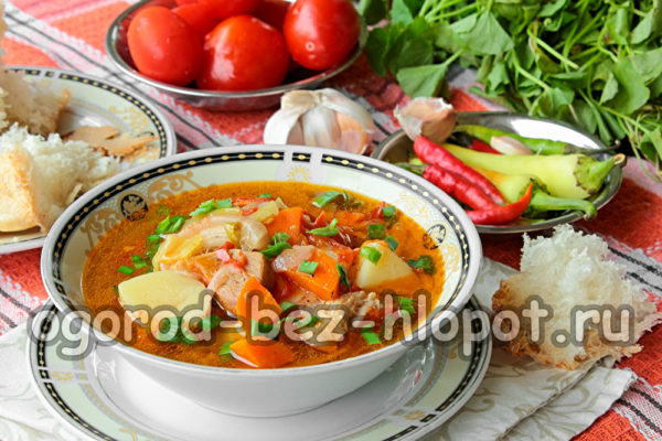Hausgemachtes Schweinefleisch-Shurpa