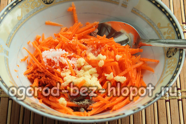 carottes, ail, épices