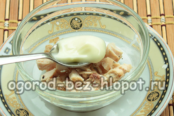 couche de filet de poulet avec de la mayonnaise