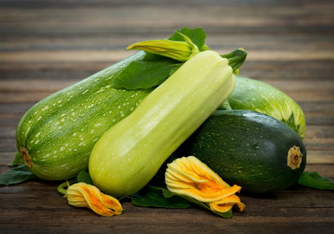 Geheimnisse der Zucchini-Aufbewahrung