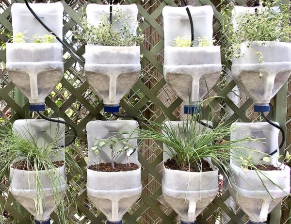 Bastelideen mit Dosen für den Garten