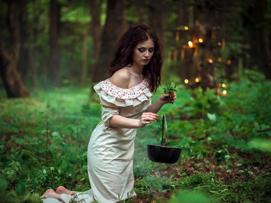 Die Hexe sammelt Kräuter im Wald