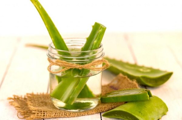 Listja Aloe