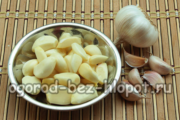 Knoblauch