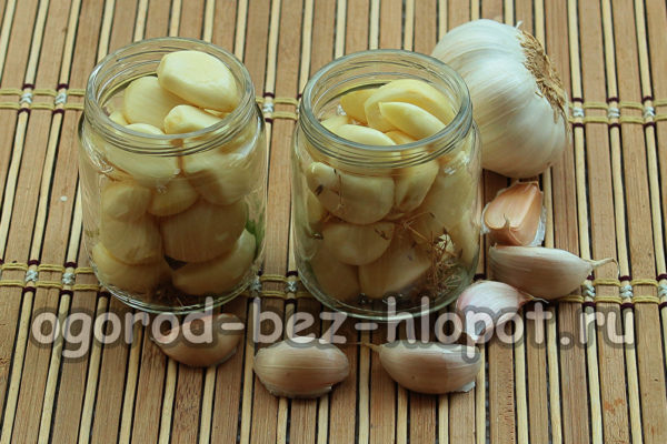 Die Gläser mit Knoblauch füllen