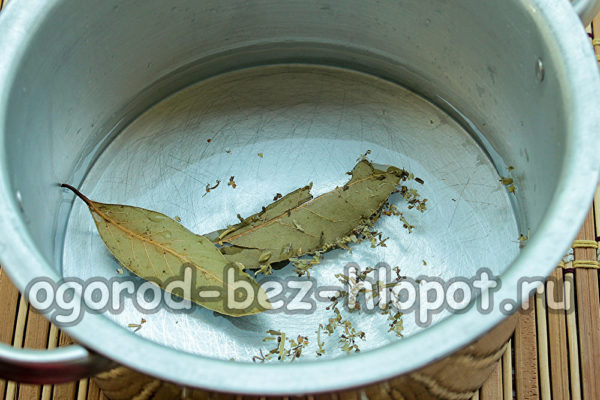 Wasser, Gewürze