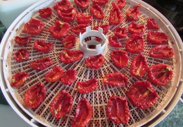 séchage des tomates dans un déshydrateur