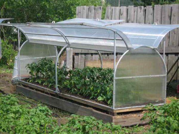 serre en polycarbonate