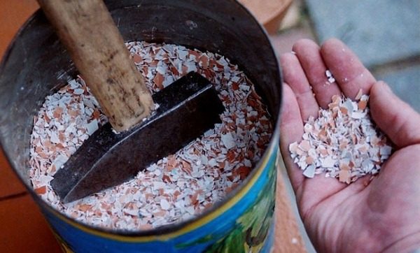 fertilizzante a forma di uovo