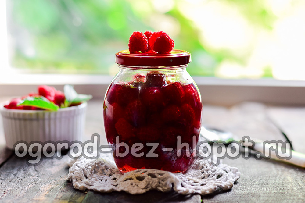 framboises dans leur propre jus