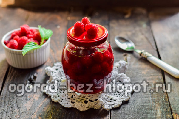 framboises dans leur propre jus sans sucre