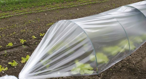 plastik kemerlerden yapılmış sera