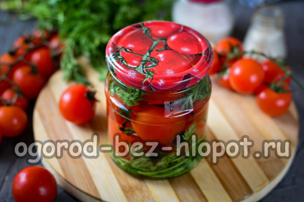 tomates con hojas de zanahoria