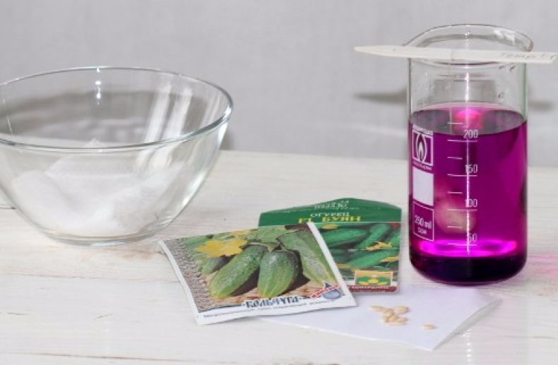 mettere a bagno i semi di cetriolo