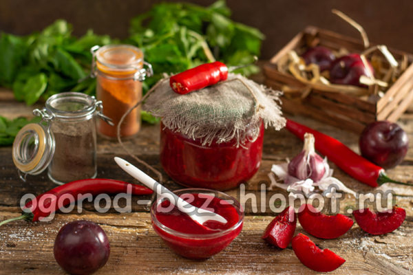 Recette classique géorgienne de tkemali