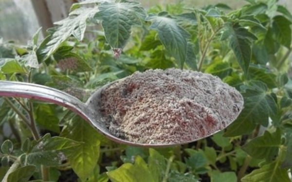 concimare i pomodori