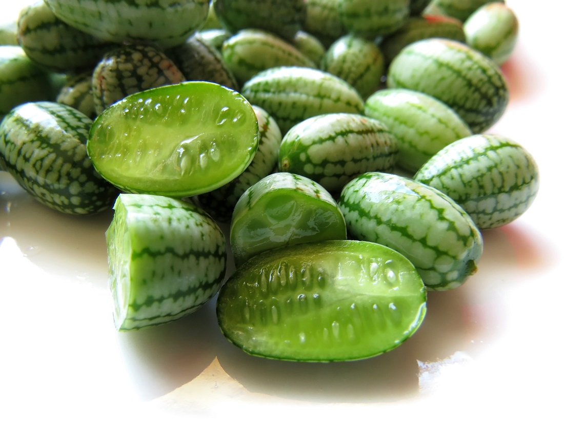 Cetriolo africano Melothria: descrizione della varietà, resa, coltivazione, foto