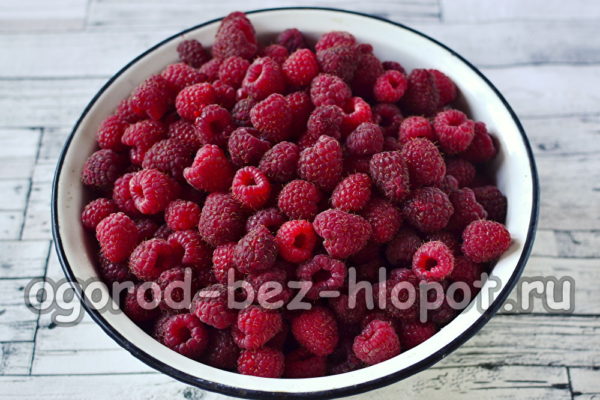 Himbeere