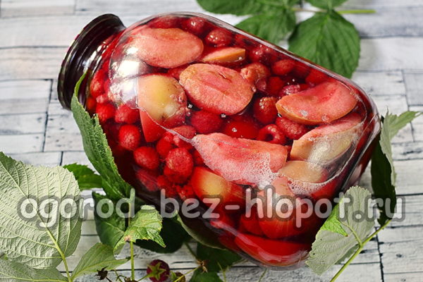 Himbeer-Apfel-Kompott