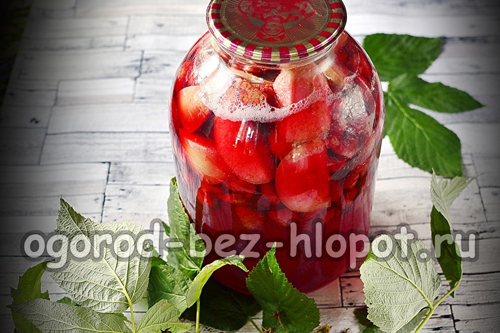 Apfel-Himbeer-Kompott für den Winter