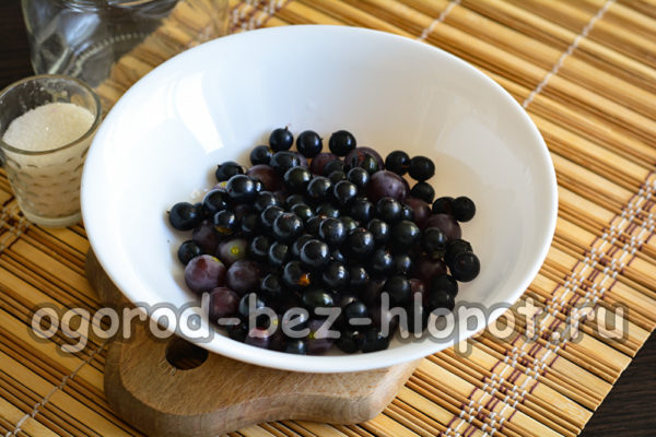 Johannisbeeren und Weintrauben