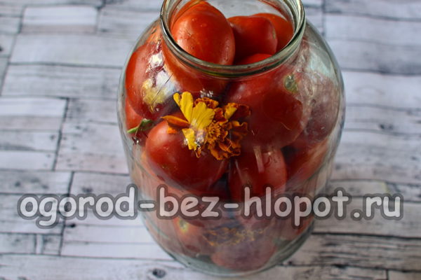 домати и цветя в буркан