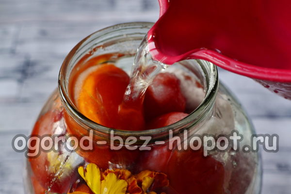 напълнете с вода