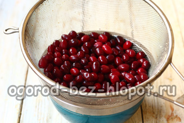kızılcık
