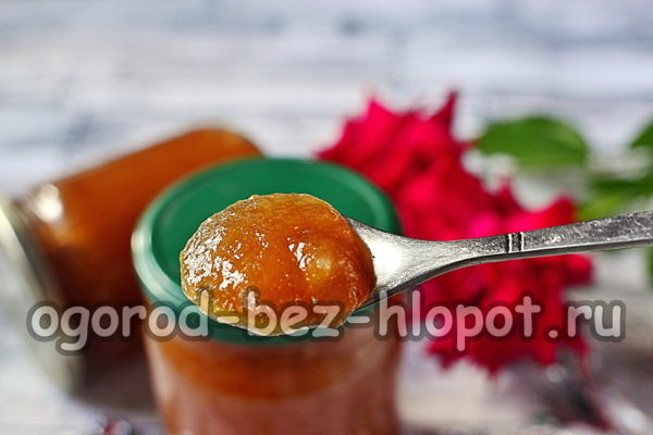 mermelada de agracejo