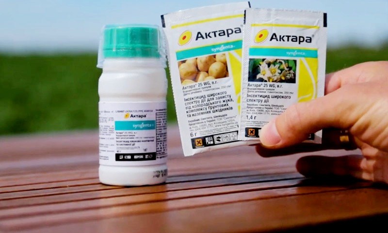 Aktara Insektizid