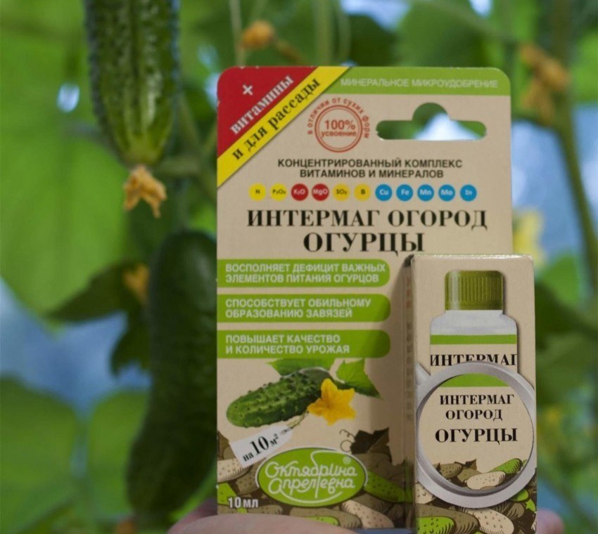 Intermag Gemüsegarten Gurken