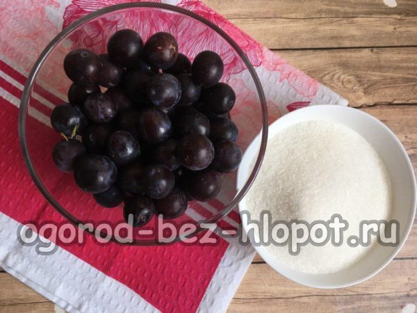 susine e zucchero
