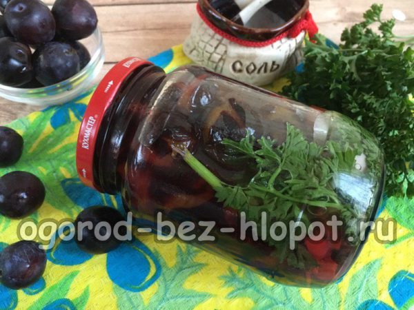 olives de prunellier pour l'hiver