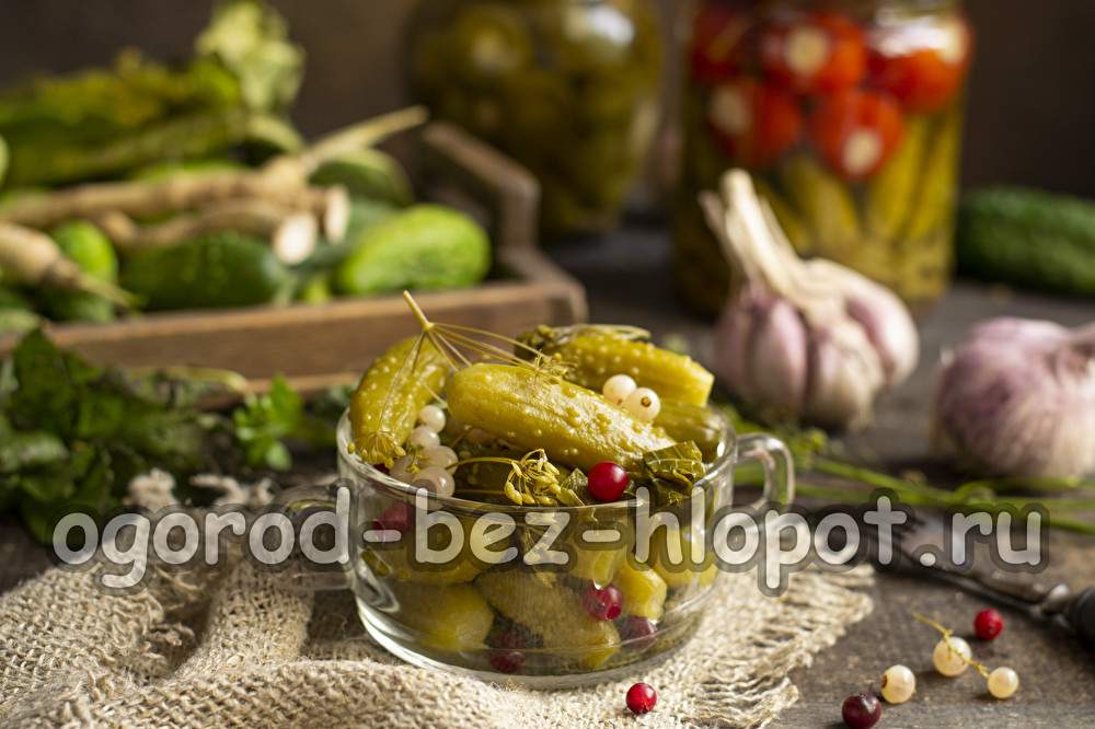 concombres et groseilles rouges pour l'hiver