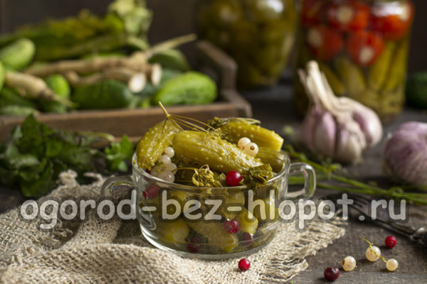 Recette de concombres aux groseilles rouges
