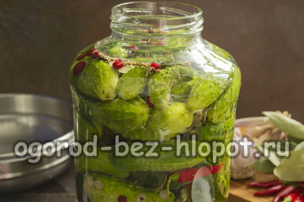 Versez la marinade sur les concombres.