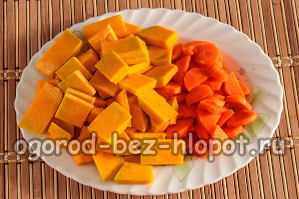 zucca e carote
