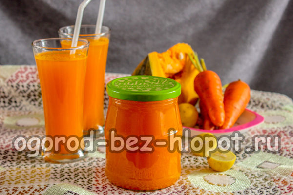Succo di zucca e carota fatto in casa