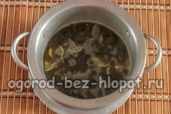 Dekokt