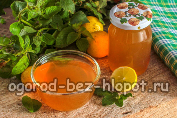 Die Minz-Zitronen-Marmelade ist fertig.