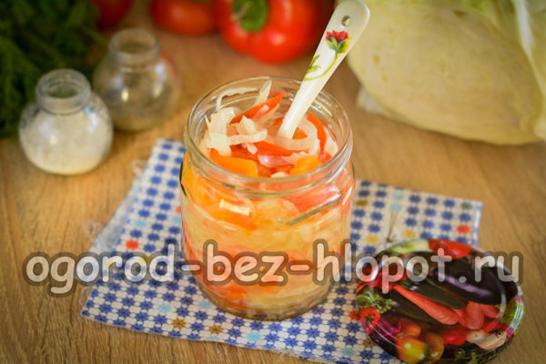 Salade de chou vitaminée pour l'hiver