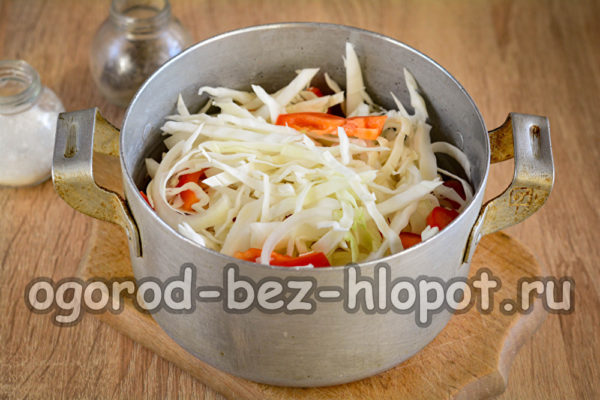 mettre les légumes dans une casserole