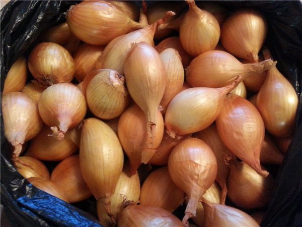 лук